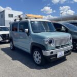 DAMD　ハスラー”CLASSICO”のフェイスチェンジキットとオリジナルルーフラック