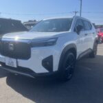 ﾎﾞﾝﾈｯﾄｶﾊﾞｰ / ﾌﾛﾝﾄﾊﾞﾝﾊﾟｰ & ｸﾞﾘﾙ<br />
角目ﾊﾛｹﾞﾝﾍｯﾄﾞﾗﾝﾌﾟ / ﾊｰﾈｽ & ｽﾃｰ 付属