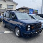 フェイスチェンジキット　デューリーマーカーマウント　ウッドストライプ　サイドロアデカール